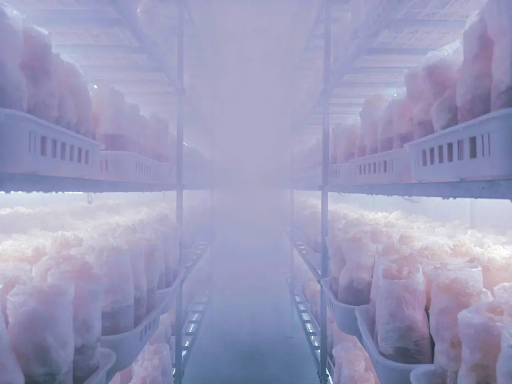 TEMPERATURE AND HUMIDITY